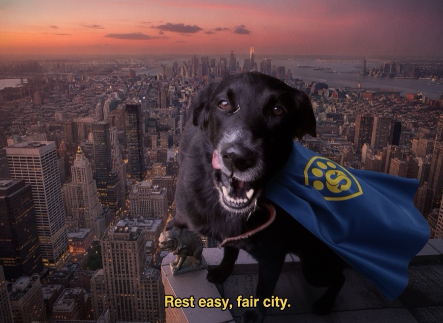 The Pet Care Card screenshot 1